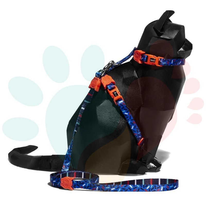 Set Arnés - Correa | Atlanta1