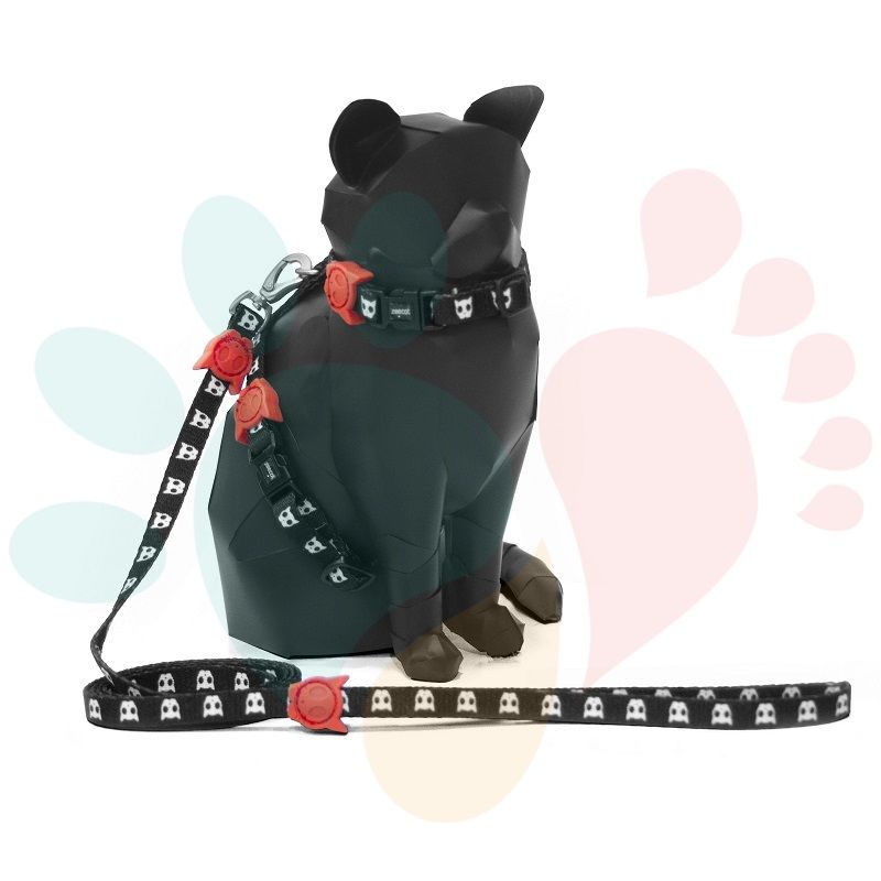 Set Arnés - Correa | Skull2