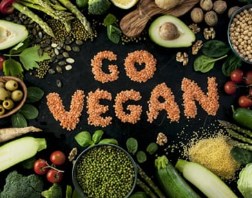 vegan5399