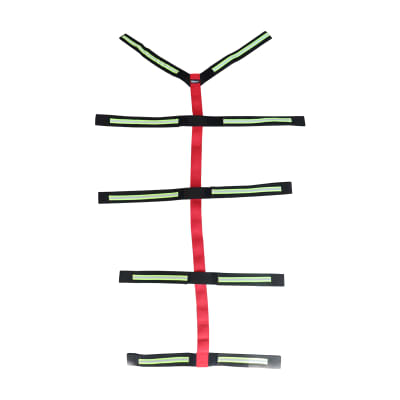 Arnes Tipo Araña