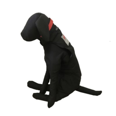 Perro de entrenamiento