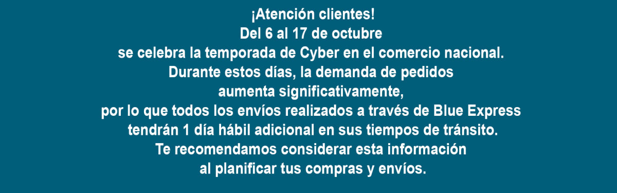 cartelferiado1cyberoctubre20255601
