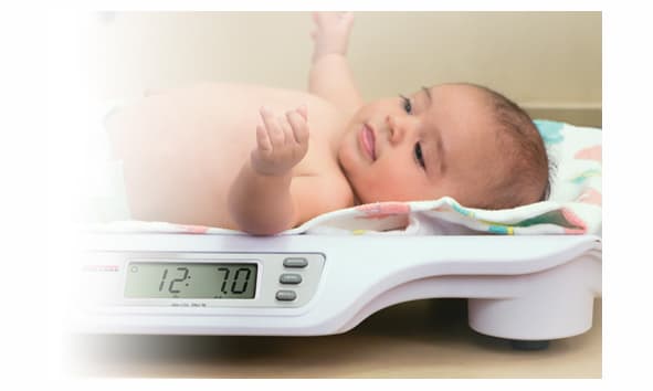 Balanza Digital Pediátrica Rice Lake RL-DBS ref 1125714