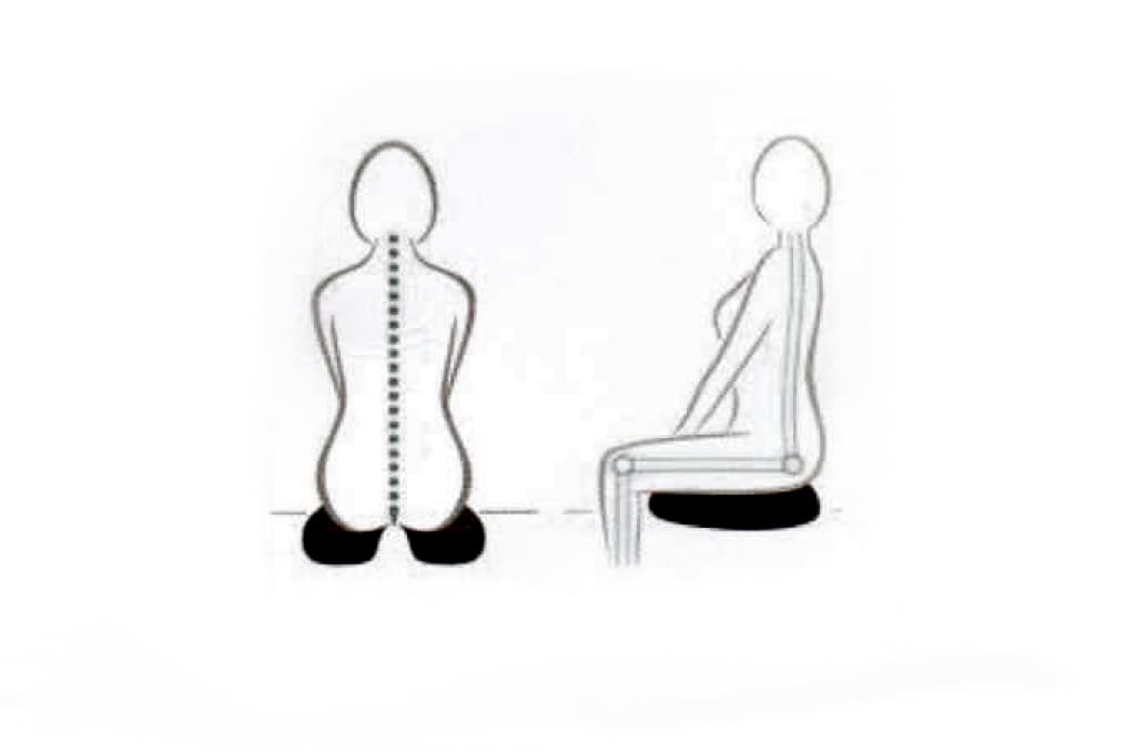 Cojin Coxis Amortiguador1