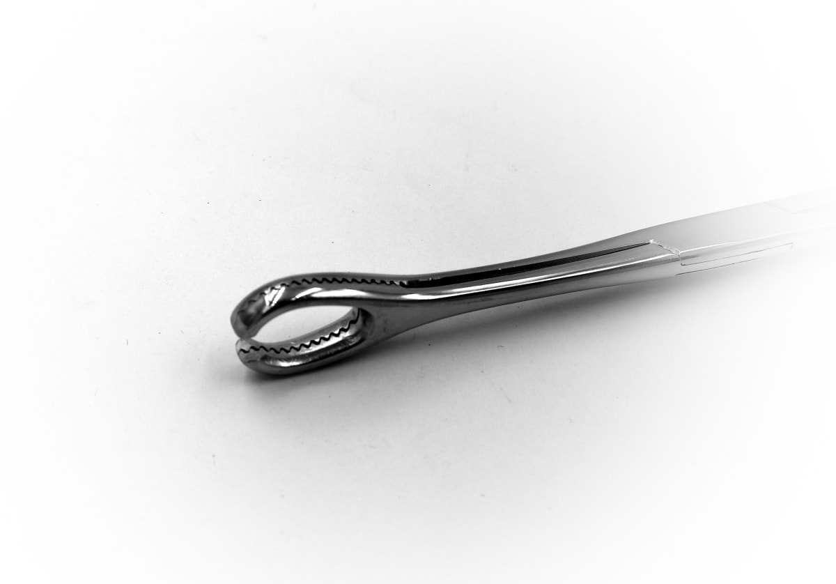 Pinza Forcep para Piercing Ovalada Abierta1
