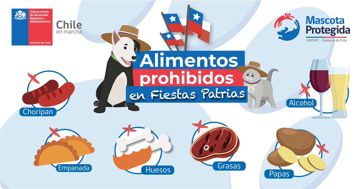 Cuidemos a Nuestras Mascotas en Fiestas Patrias Cuidemos a Nuestras Mascotas en Fiestas Patrias
