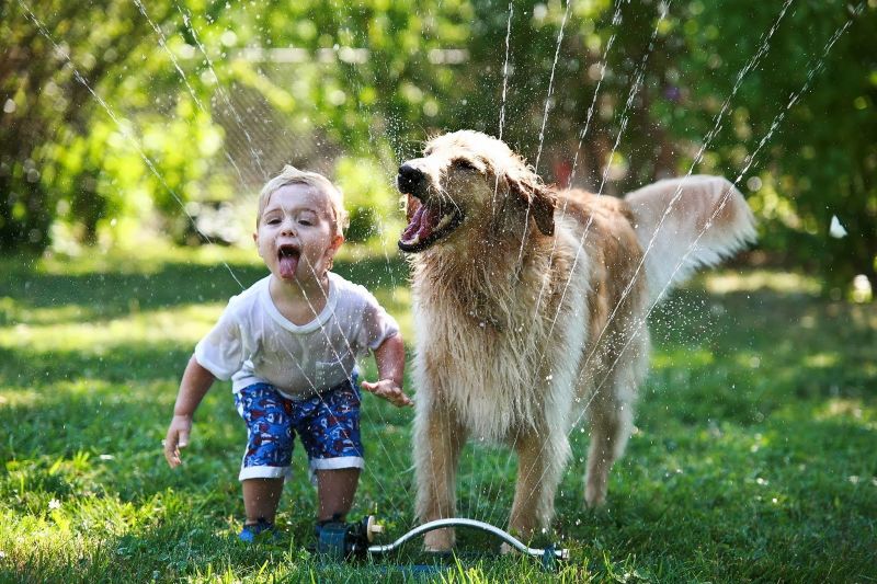 Beneficios del vínculo afectivo entre niños y mascotas