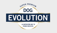 DOG EVOLUTION