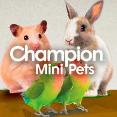 Champion Mini Pets