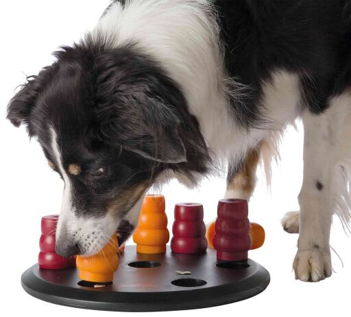 Trixie Dog Activity Nubapets Tienda de mascotas - Main Image