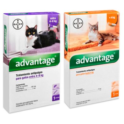 Advantage Felino Advantage Felino