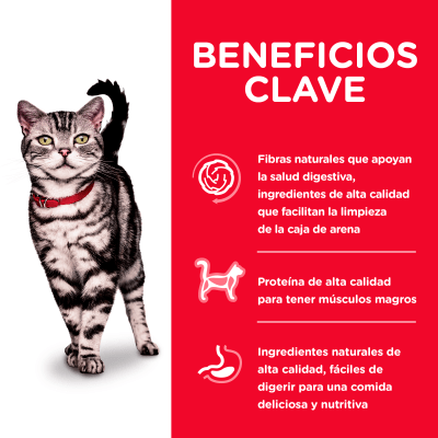 Hills Feline Adult Indoor Hills Feline Adult Indoor