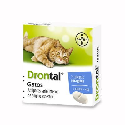 Drontal Cats Drontal Cats