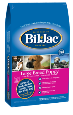Bil Jac Puppy Large Bil Jac Puppy Large