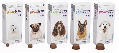 Bravecto Bravecto