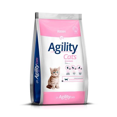 Agility kitten Felino Agility kitten Felino