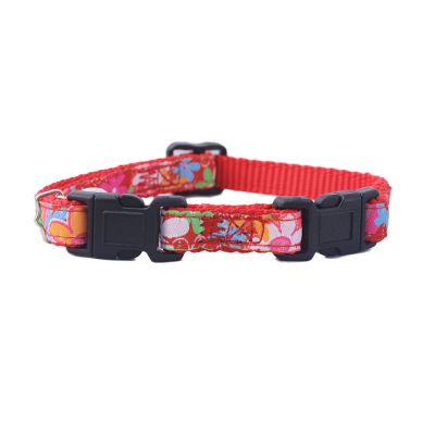 MasCan Collar Gato Doble Seguridad (10 mm x 30 cm) MasCan Collar Gato Doble Seguridad (10 mm x 30 cm)