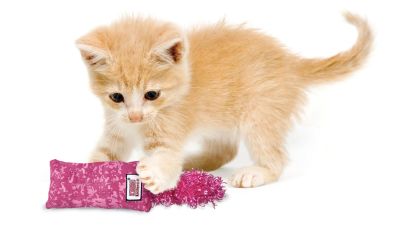Kong Kitten Kickeroo Kong Kitten Kickeroo