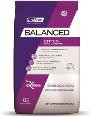 Balanced Gato Kitten Balanced Gato Kitten