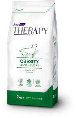 Therapy Canine Obesity Therapy Canine Obesity