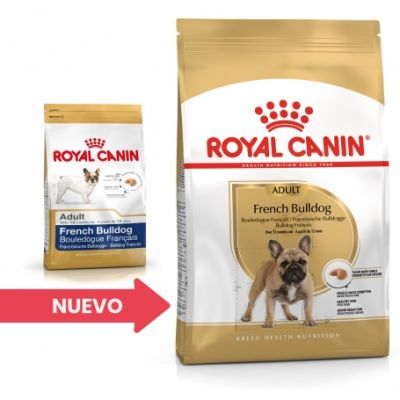 Royal Canin Bull Dog Francés Adulto Royal Canin Bull Dog Francés Adulto