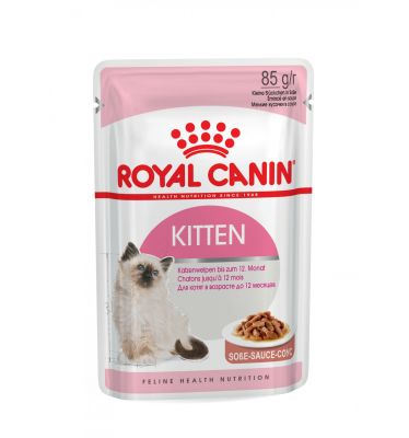 Pouch Kitten Pouch Kitten