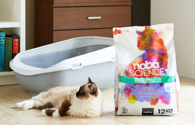 Arena Sanitaria Noba Science Arena Sanitaria Noba Science