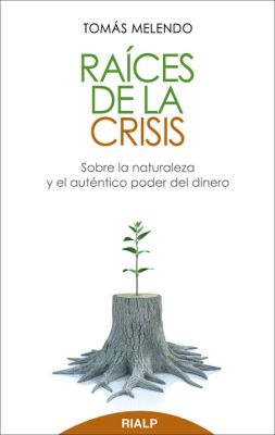 RAICES DE LA CRISIS