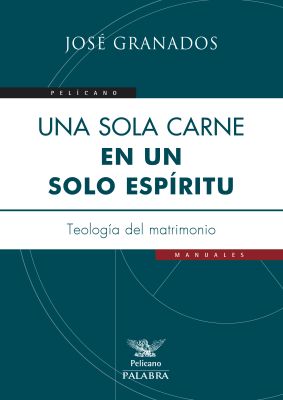UNA SOLA CARNE EN UN SOLO ESPIRITU. TEOLOGIA DEL MATRIMONIO