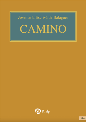  CAMINO. (AGENDA, RUSTICA) 