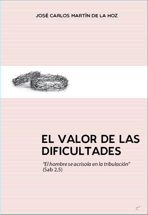 EL VALOR DE LAS DIFICULTADES1