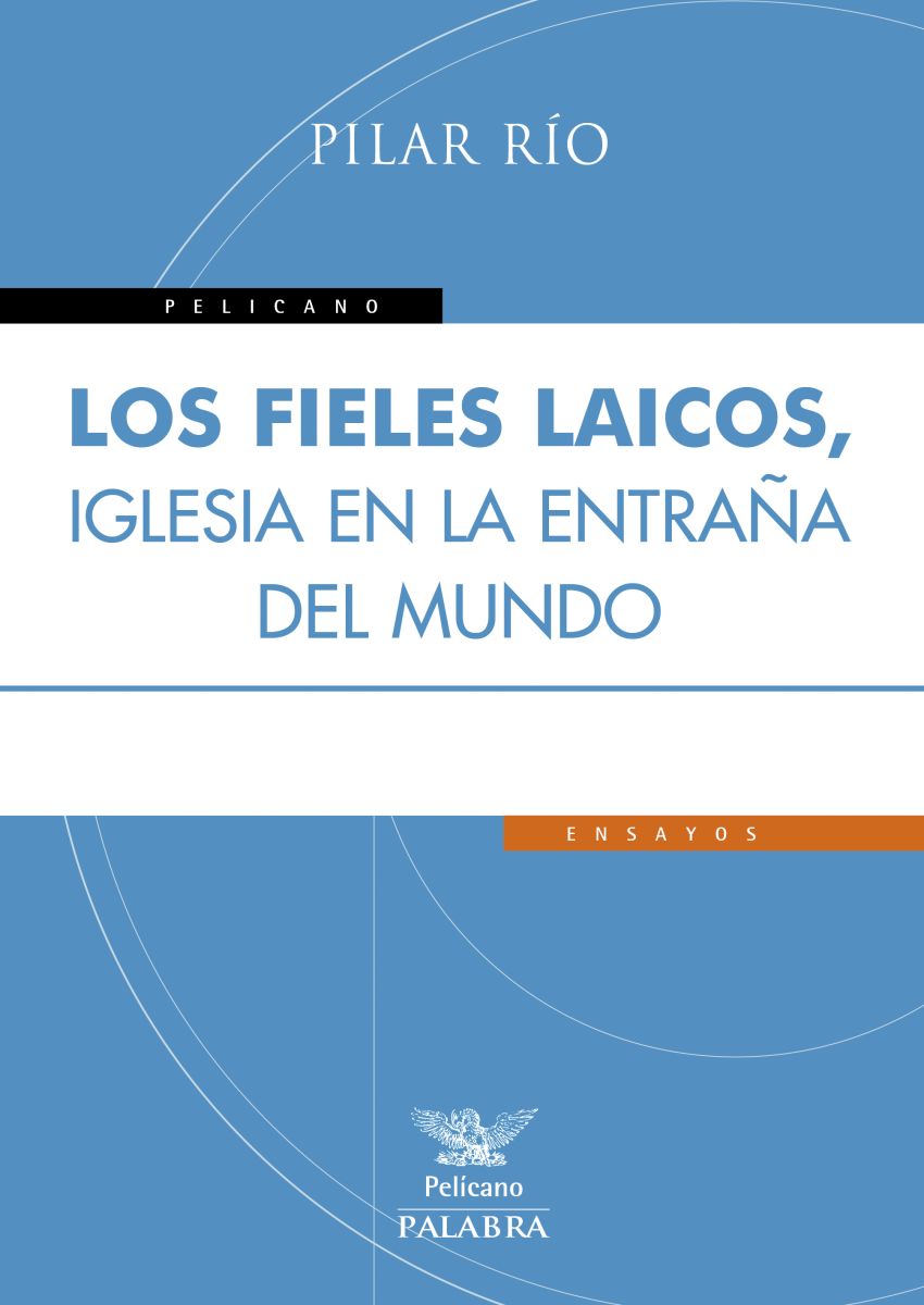 LOS FIELES LAICOS . IGLESIA EN LA ENTRAÑA DEL MUNDO1