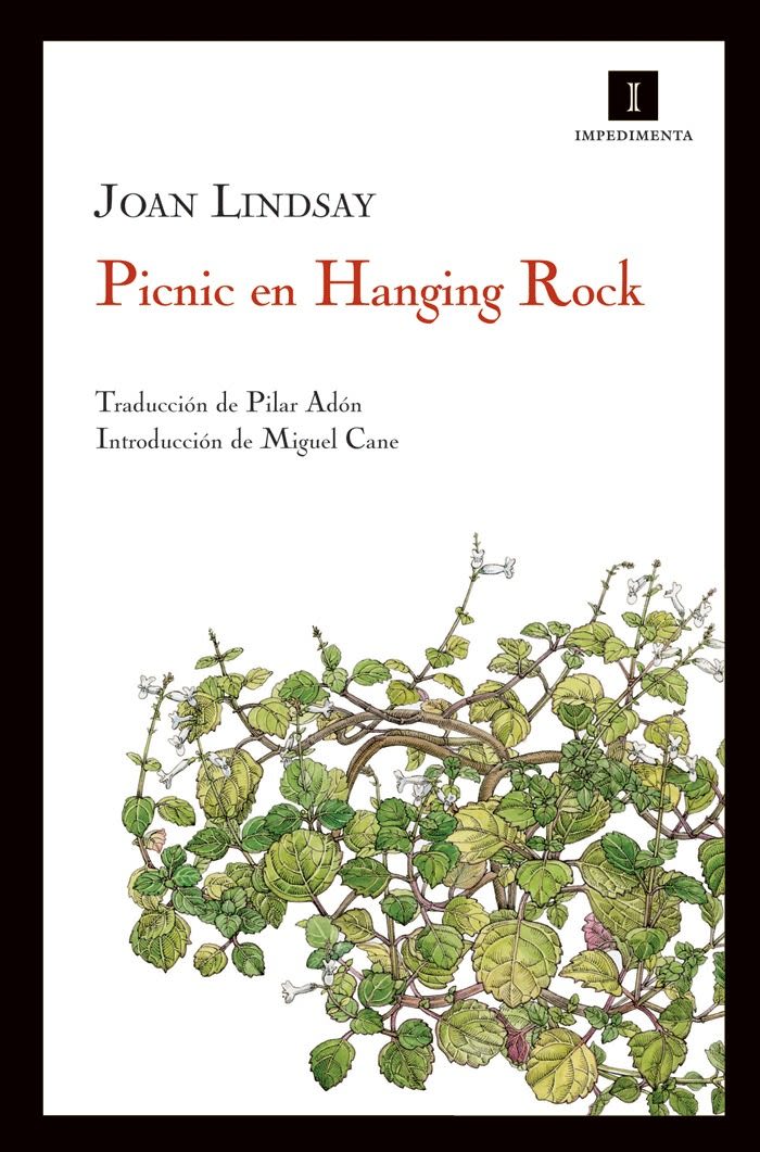 PICNIC EN HANGING ROCK1
