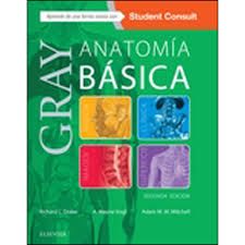 GRAY ANATOMIA BASICA CON STUDENT CONSULT 2ED1