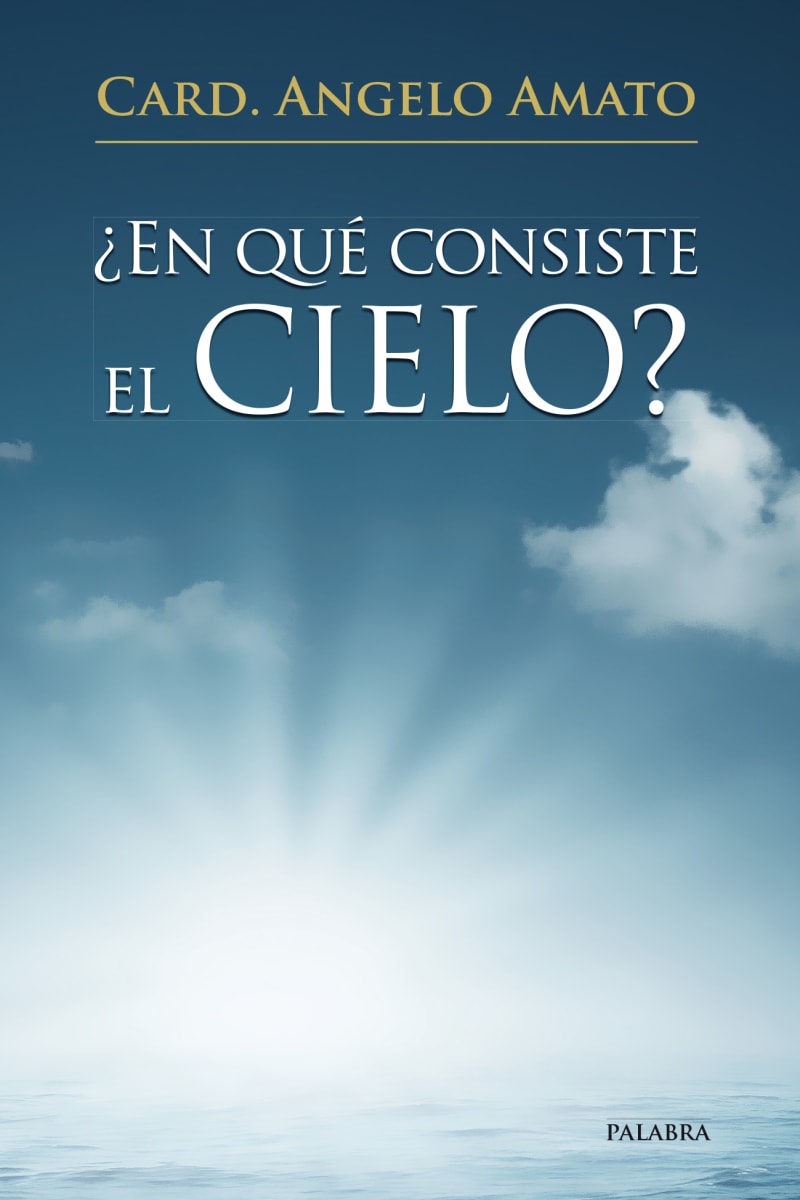 ¿EN QUE CONSISTE EL CIELO?1