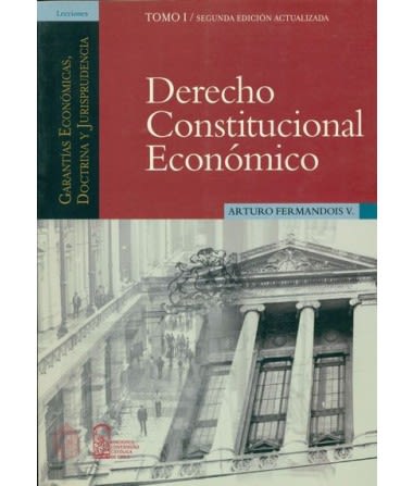 DERECHO CONSTITUCIONAL ECONOMICO TOMO I (2.ED)2