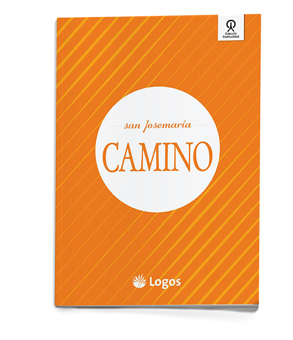 CAMINO1