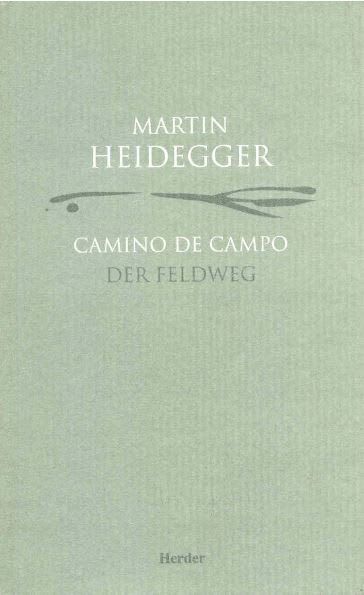 CAMINO DE CAMPO DER FELDWEG1