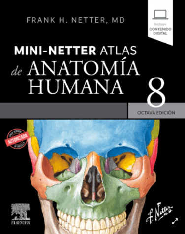 MINI NETTER. ATLAS DE ANATOMÍA HUMANA 8ª ED.1