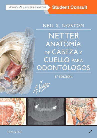 NETTER. ANATOMIA CABEZA Y CUELLO PARA ODONTOLOGOS. 3ra ED.1