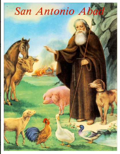 SAN ANTONIO ABAD1