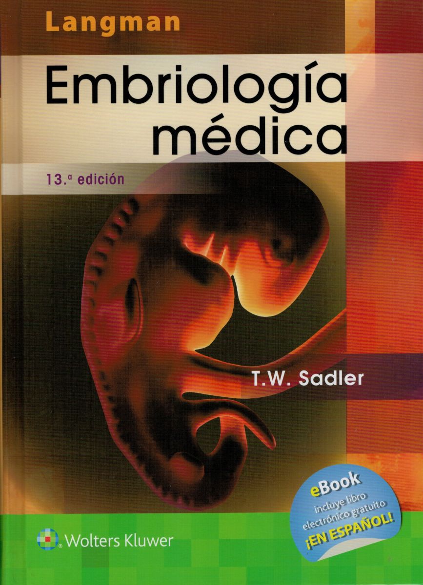 Embriologia medica1