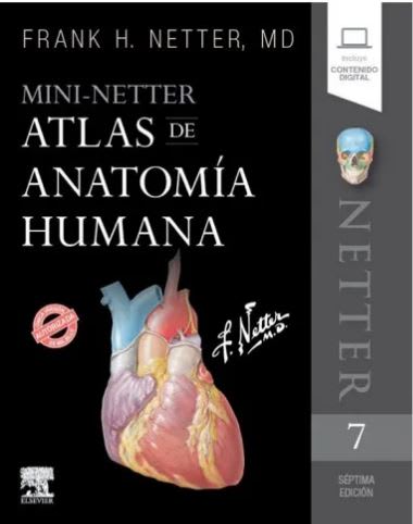 MINI-NETTER , Atlas de Anatomía Humana1
