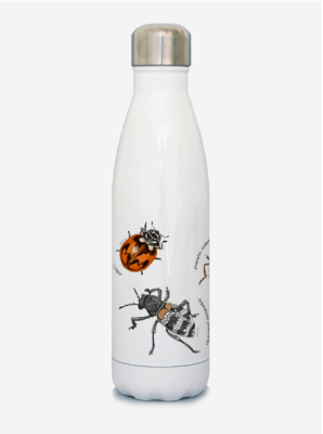 BOTELLA