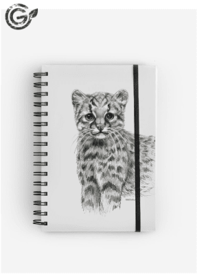 Cuaderno