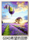 CUADRO GLOBO CON LAVANDA 60X75 G043