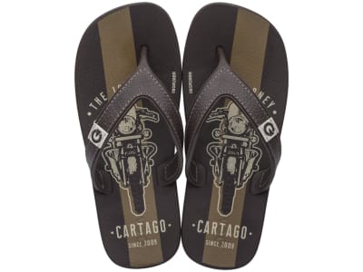 CARTAGO 2GC04800001 GC0481 MARRON BEIGE1