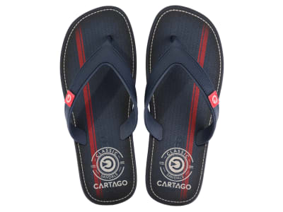 CARTAGO 2GCC7300003 GCC733 AZUL ROJO1