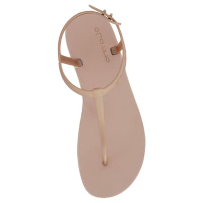 LATINA ARANZA PALO ROSA1