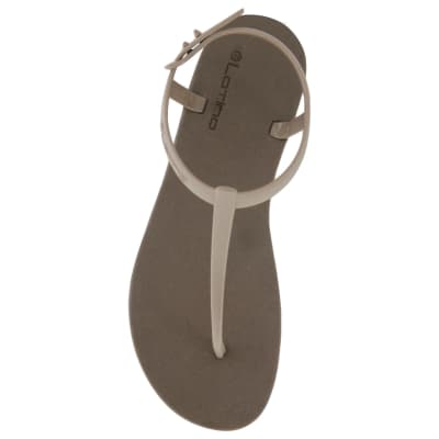 LATINA ARANZA PARDO1